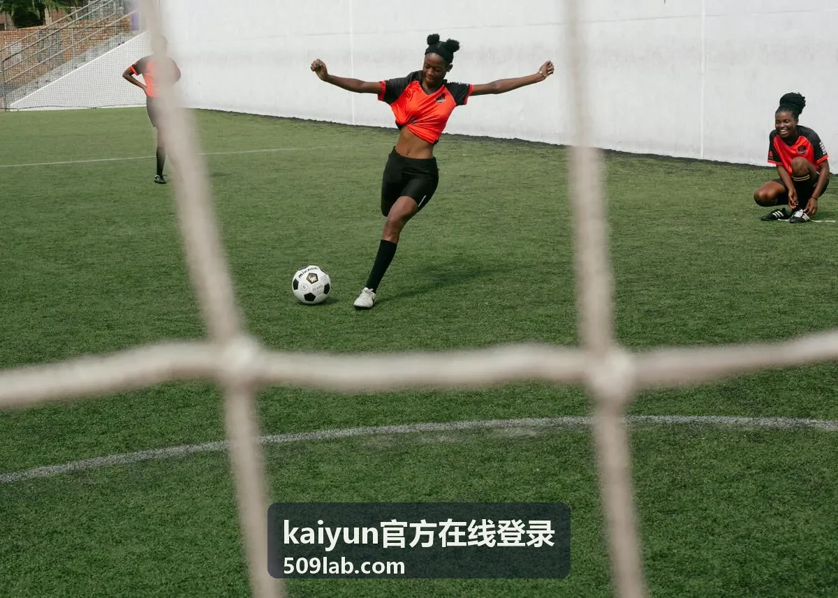 kaiyun官方在线登录登录流程说明配图