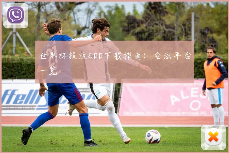 世界杯投注app下载指南：合法平台一览