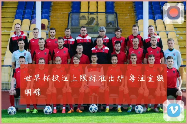 世界杯投注上限标准出炉 每注金额明确